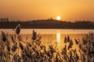 新潟在住でフルリモートの転職求人はどこで探せる？